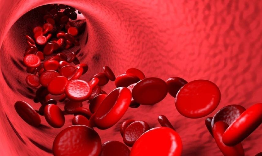Uzmanlardan dikkat çeken uyarı: O besinler kan pıhtılaşmasına sebep oluyor