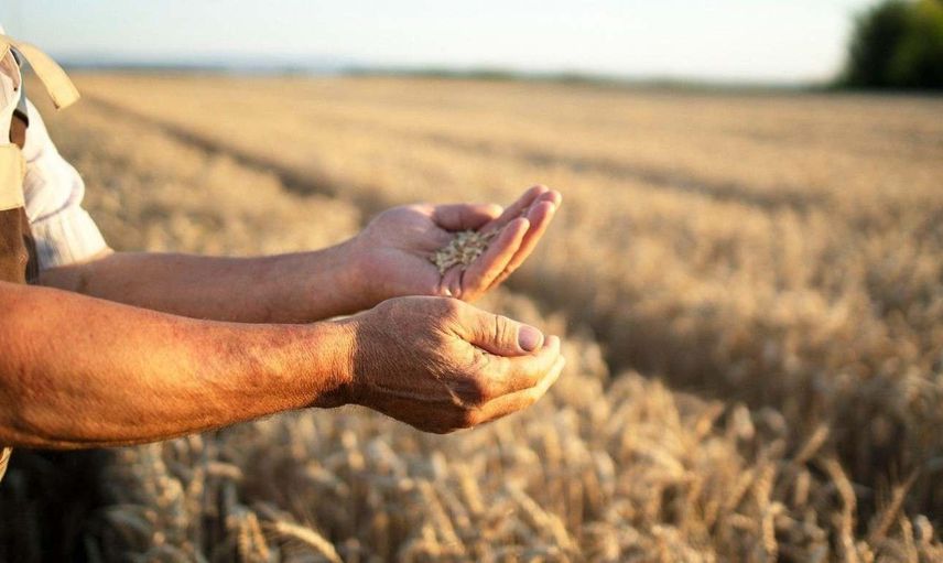 Uzun süredir beklenen gıda krizi sonunda geldi! Sadece 10 haftalık stok kaldı