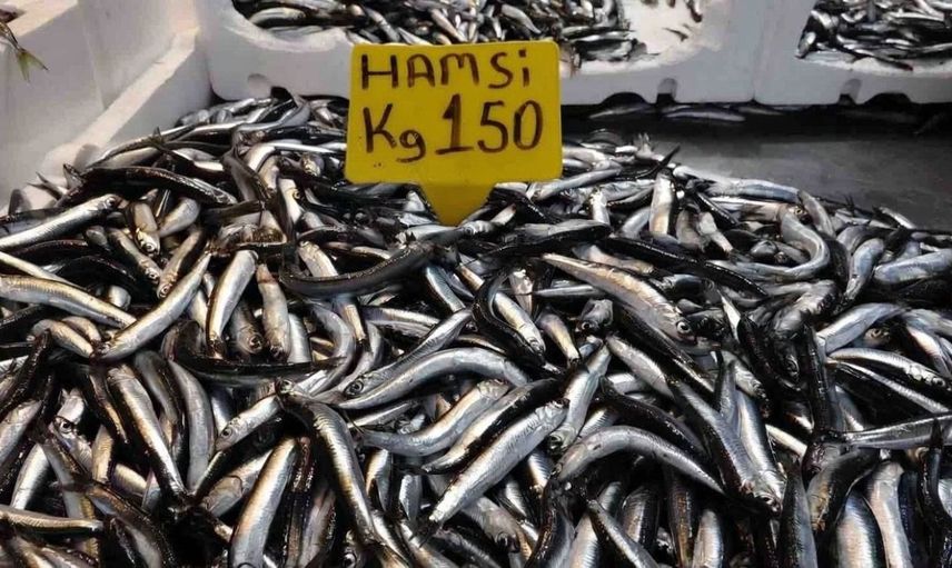 Bir buçuk aydır çıkmayan yerli hamsi yeniden tezgahlarda