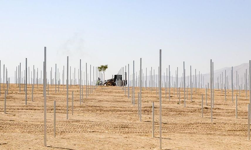 Van'da 38,5 Megavat Kapasiteli Güneş Enerjisi Santrali Hayata Geçiyor