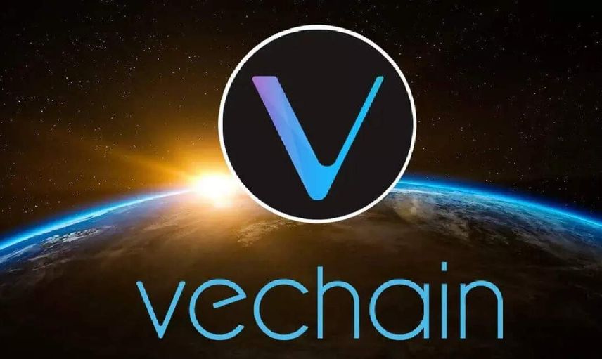 VeChain coin nedir? Vet coin projesi ve yol haritası