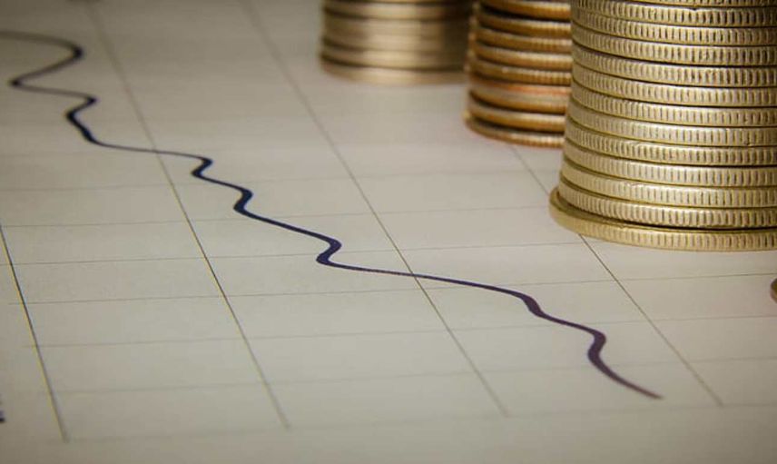 VINU coin nedir? Viral Inu coin projesi ve yol haritası