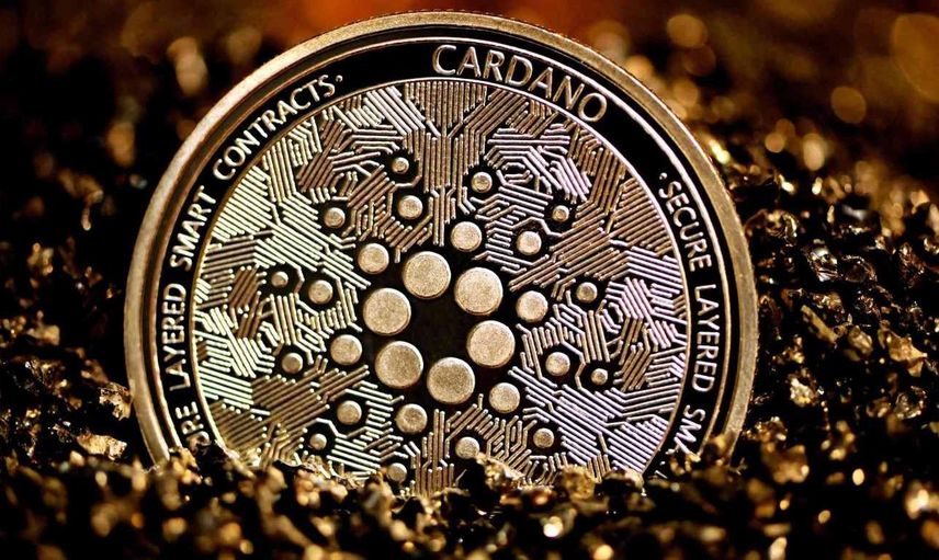WNDR coin nedir? Wonderman Nation coin projesi ve yol haritası