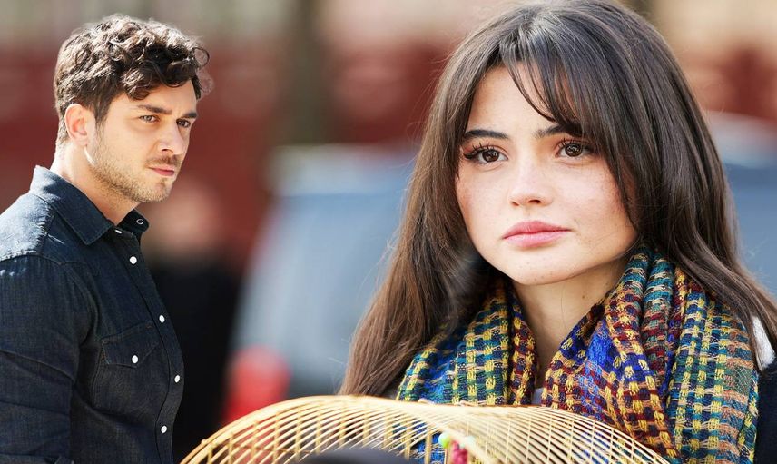 Yan Oda dizisi hangi gün, saat kaçta yayınlanacak? Star TV Yan Oda konusu ve oyuncuları