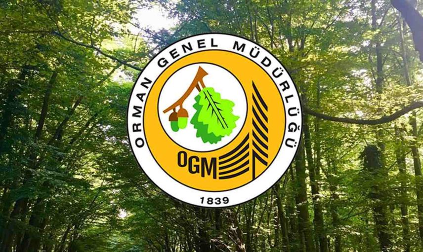 Yangın felaketine karşı acı önlem: 27 ilde ormanlara giriş yasaklandı!
