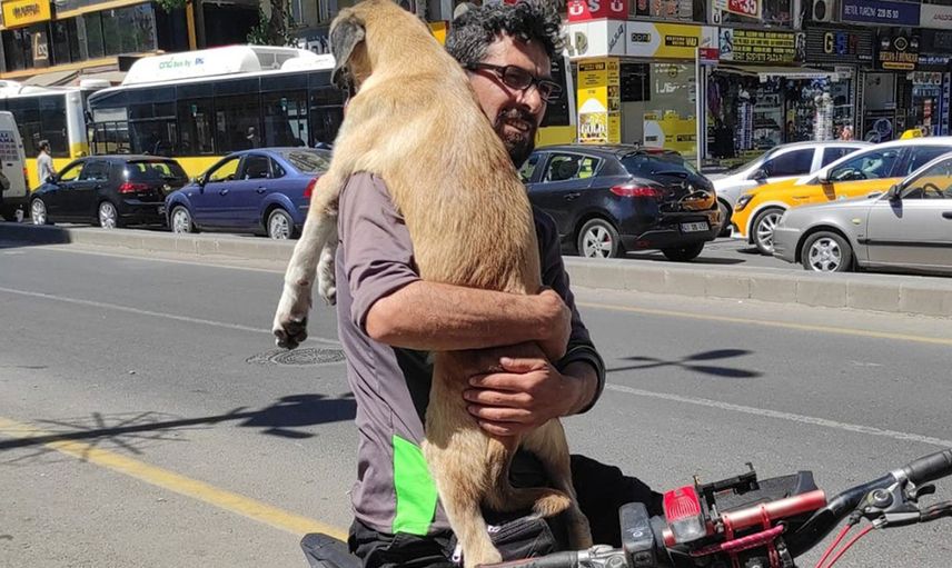 Yaralı Köpeği Bisikletle 5 Kilometre Boyu Taşıdı