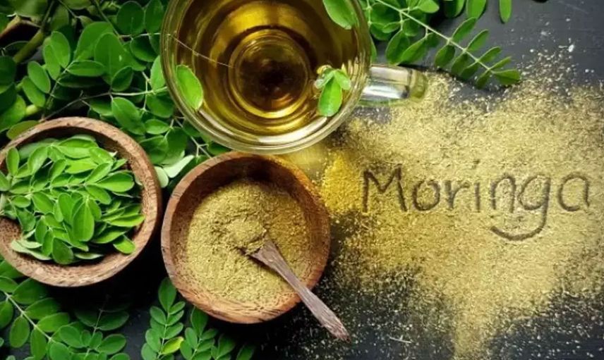 Yaşlandırmayı geciktiren: Moringa çayı nedir ve nasıl tüketilir? Moringa çayı faydaları nelerdir?