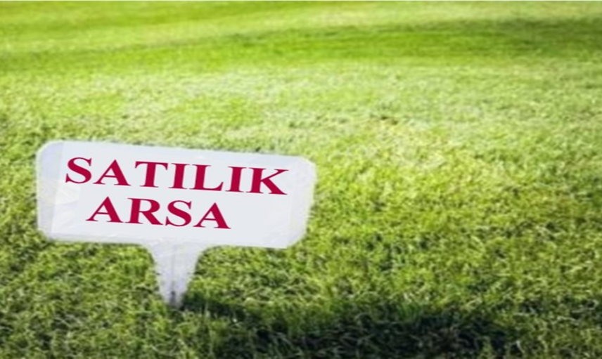 Yatırım yatırım diyenlerin kapısına hediye kutusu konuldu! 11.000 TL’si olan arsayı kapacak
