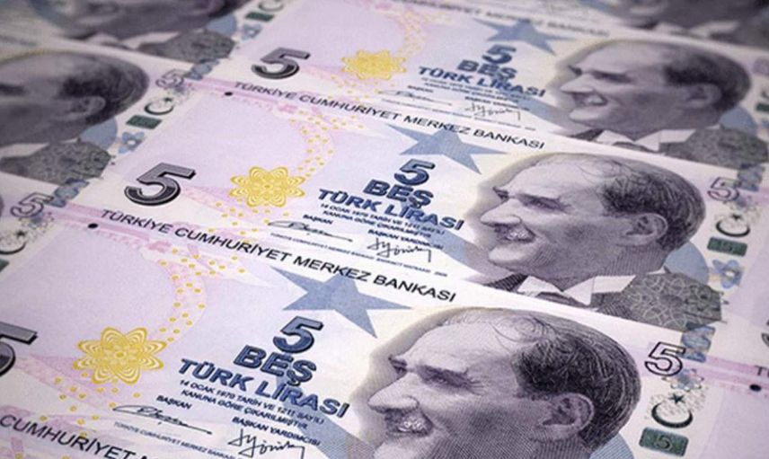 Yeni 5 TL'lik banknotlar nasıl olacak? Yeni 5 TL banknot resmi