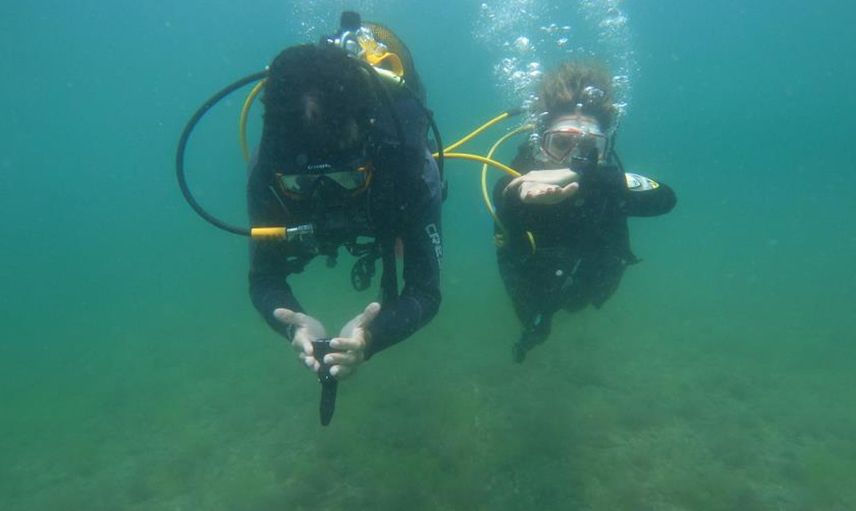 Yeni Rota Karadeniz! Marmara Denizi Kaplayan Müsilaj Dalgıçların Kabusu Oldu
