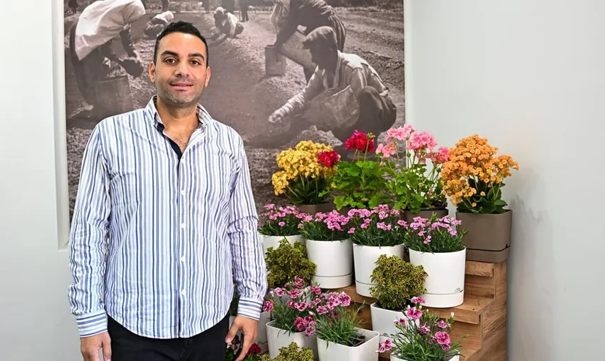 Yerli Sardunya Çeşitleri Geliştiriliyor