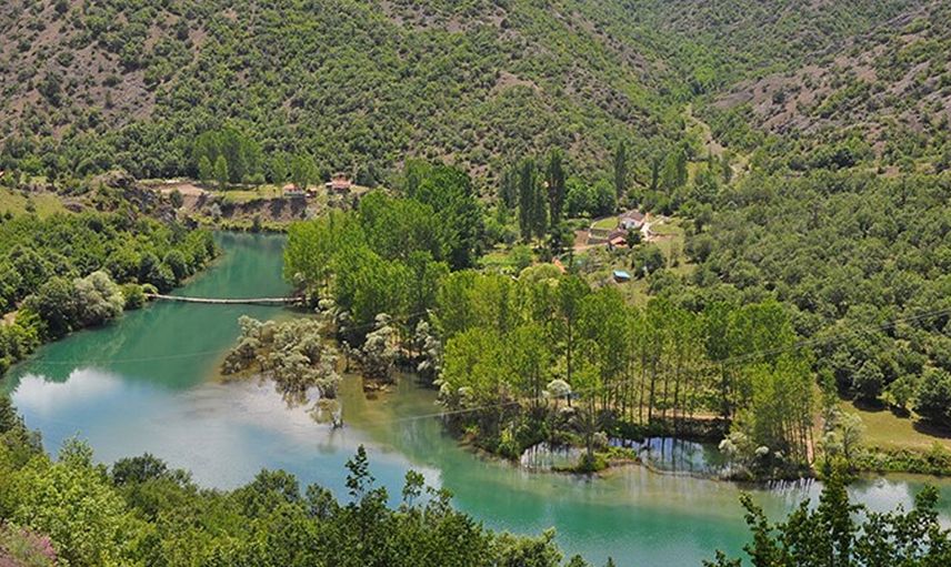 Yeşilırmak'ta Balık Ölümleri!