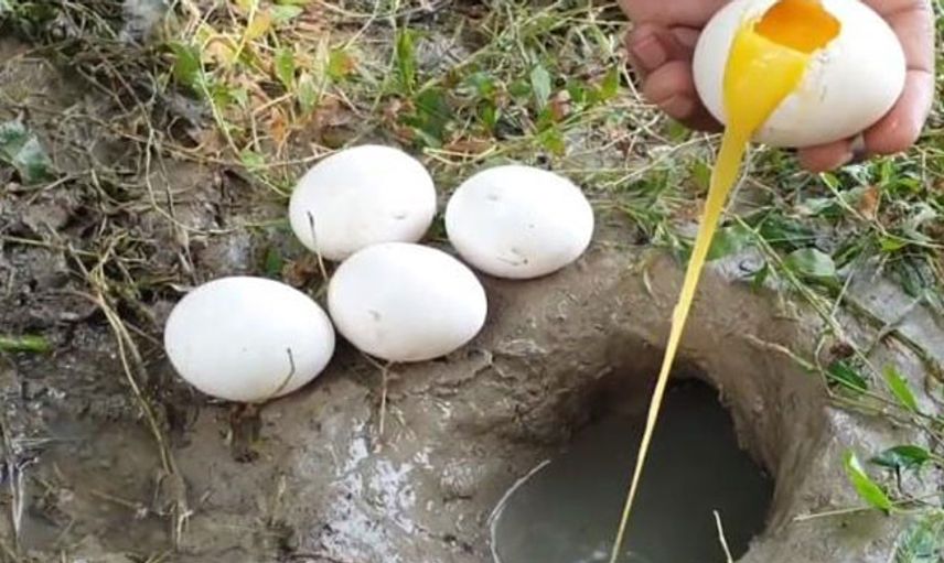 YouTube Fenomeninin İlginç Balık Avlama Tekniği! Suya Yumurta Kırıyor