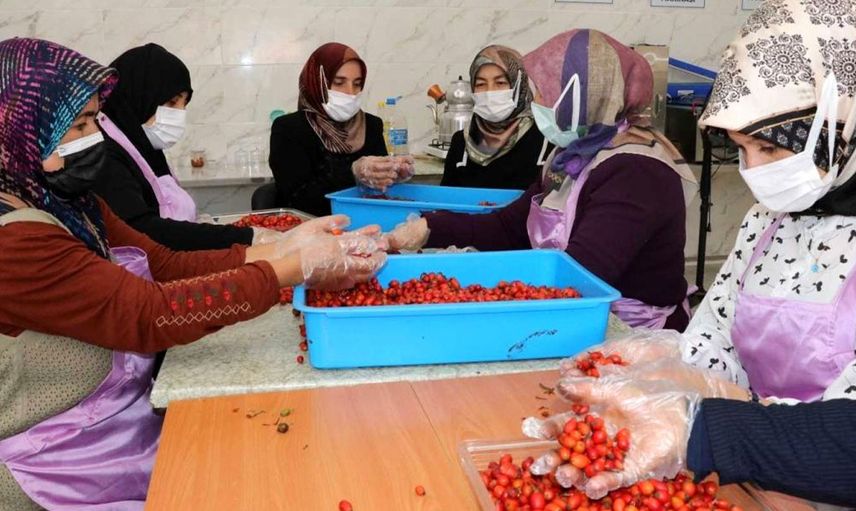 Yozgatlı Kadınlar Hem Üretiyor Hem Bütçelerine Katkı Sağlıyor