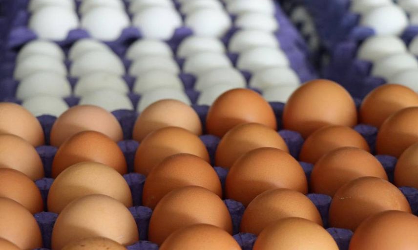 Yumurta fiyatları cep yakıyor: Bir tanesi 5 TL oldu! Yumurta adedi değiştirildi
