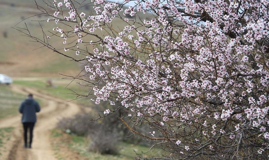 Yurt Genelinde Sağanak Yağış Alarmı: Meteoroloji Uyardı!