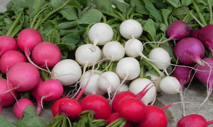 Zatürrenin izlerini kolayca siliyor: Akciğer hastalıklarının en büyük düşmanı