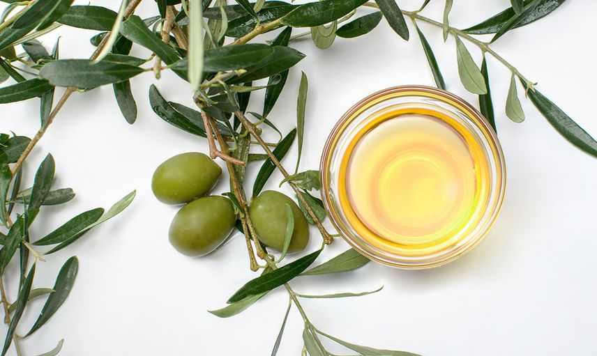 Zeytin yaprağı çayı faydaları