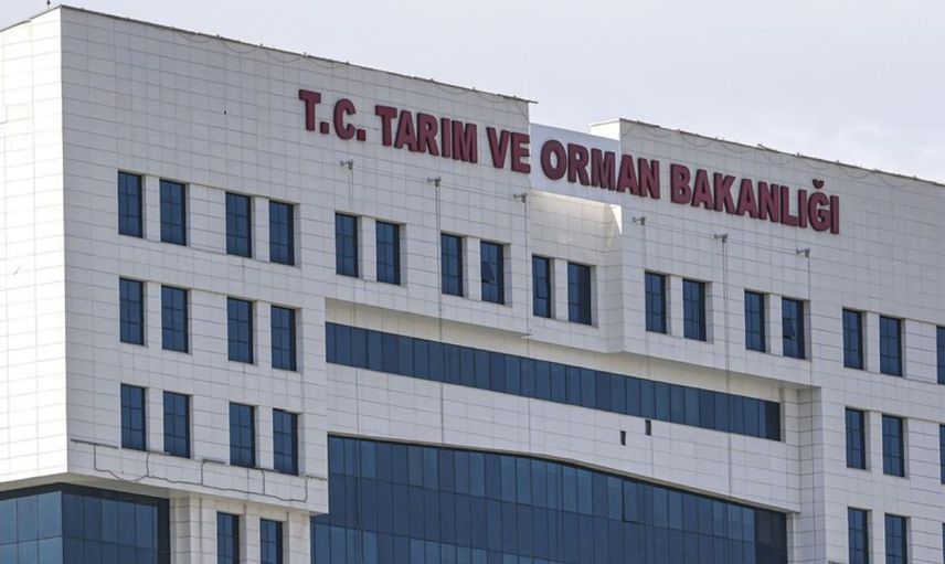 Bakanlıktan 'çekirge istilası' iddialarına yanıt: Marmara için endişeye gerek yok