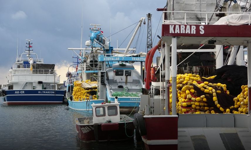 Karadeniz'de av sezonu başlıyor: Trabzonlu balıkçılar ağlarını sularla buluşturuyor 