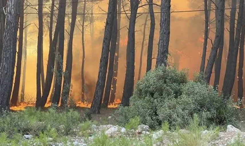 Muğla’dan Antalya’ya yayılan yangın kontrol altında: Büyük hasar bıraktı