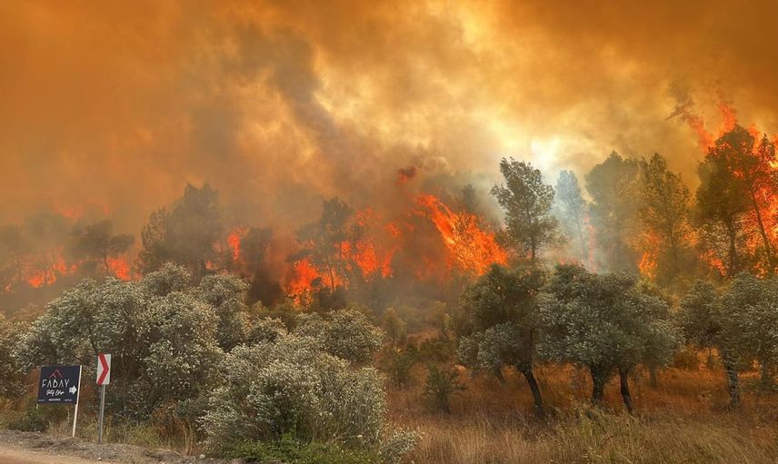 Orman yangınlarında 46 şüpheli tespit edildi: 12 kişi tutuklandı