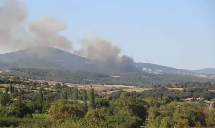 Çanakkale’de orman yangını: Ekipler havadan ve karadan seferber oldu