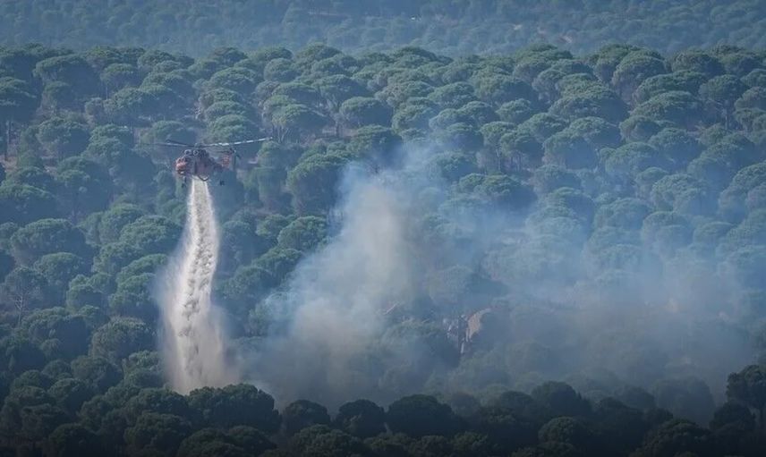 3 ilde yangınlar kontrol altında: Aydın ve Balıkesir'de alevlerle mücadele sürüyor