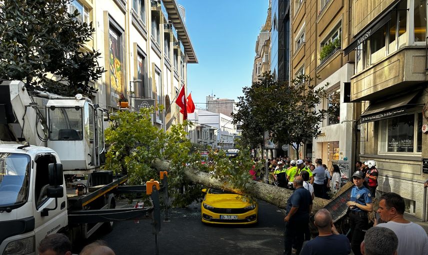 Şişli'de devrilen çınar ağacı trafiği felç etti