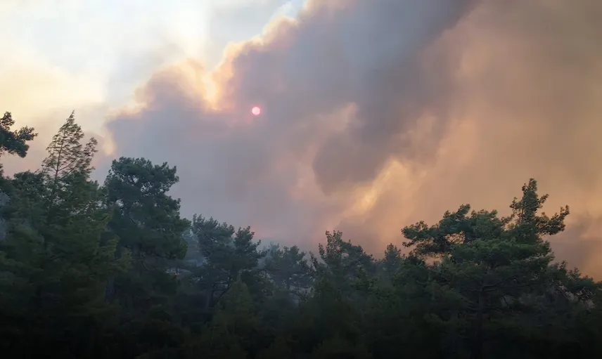 Muğla ve Antalya'da orman yangını