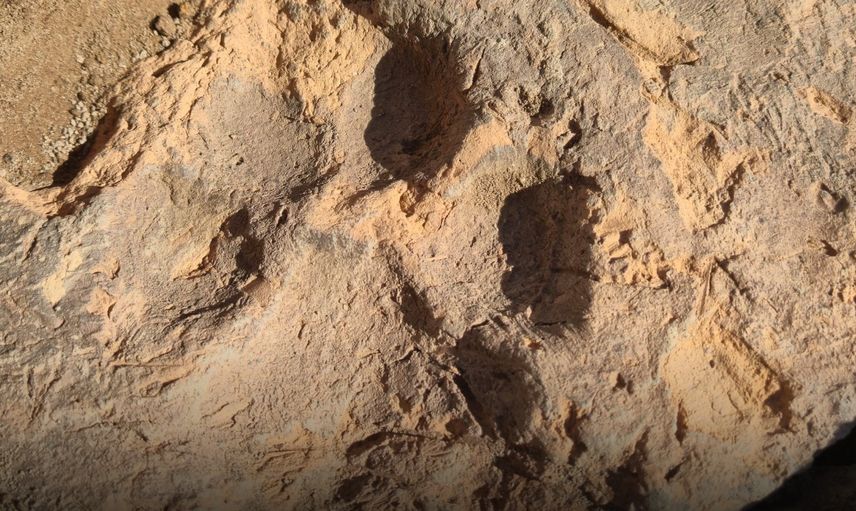 Kütahya Tavşanlı Höyük’te 4 bin yıllık pati izi bulundu